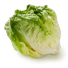 Butter Lettuce