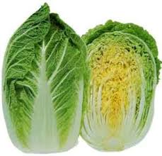 Chinese Cabbage