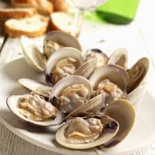 Clams