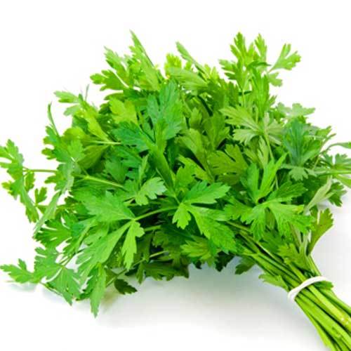 Parsley