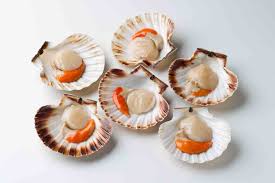 Scallops