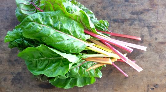 Swiss Chard