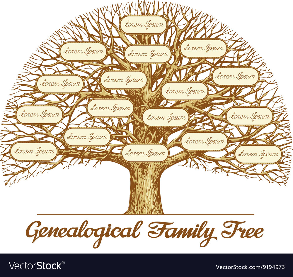 A Genealogy Guide A Genealogy Guide