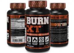 Burn XT Reviewed